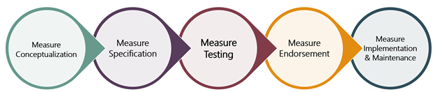 Measure Development Process